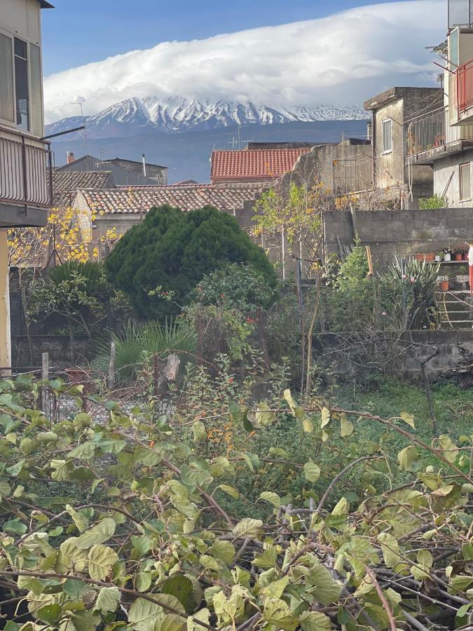 Etna Sunshine Apartments ลิงกัวกลอสซา ภายนอก รูปภาพ